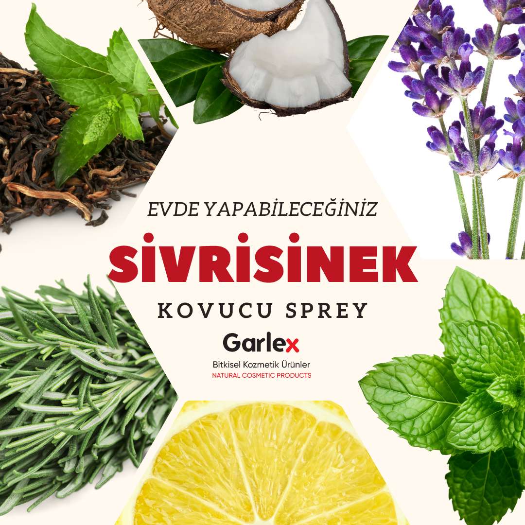  Doğal Sivrisinek Kovucu