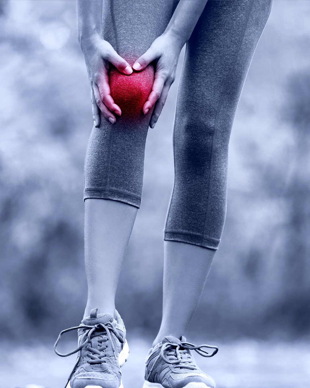 At Kestanesi Jel Ne İşe Yarar?