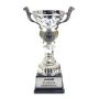 Gümüş Ödül Kupası