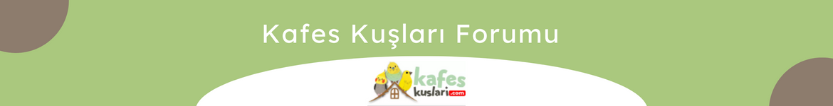 Kuş Forumu 