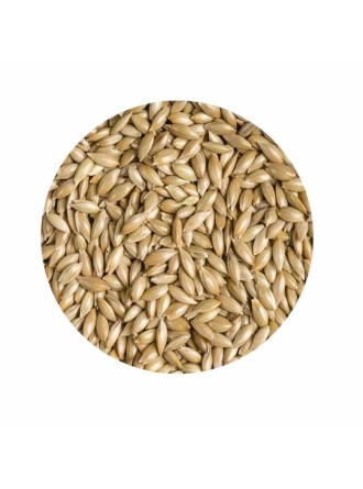 Hobi Sade Kanarya Yemi Aspur 1 KG (Bölünmüş)