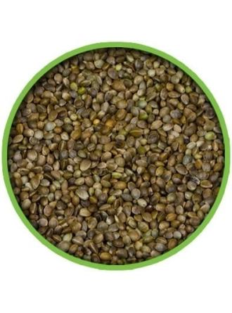 Küçük Taneli Kenevir Tohumu 500 GR (Bölünmüş)