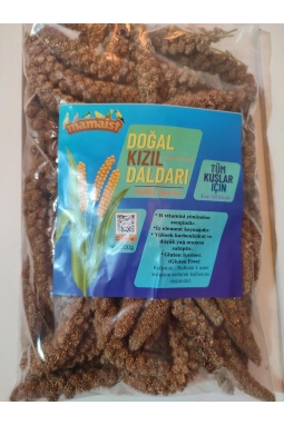 Mamaist Kızıl Daldarı Birinci Sınıf 500 Gr 