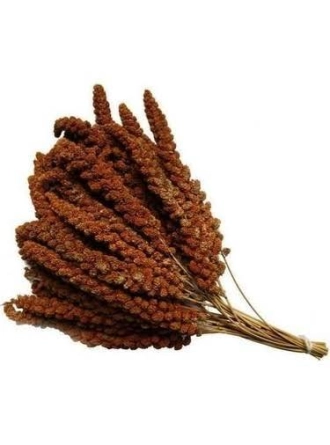 Mamaist Kızıl Daldarı Birinci Sınıf 500 Gr 