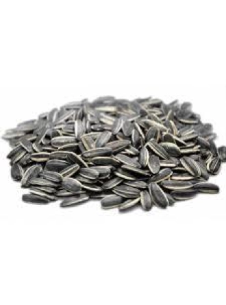 Vivid Bird Dakota Çekirdek 500 Gr (Bölünmüş)