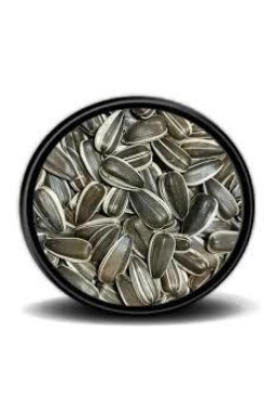 Vivid Bird Dakota Çekirdek 500 Gr (Bölünmüş)