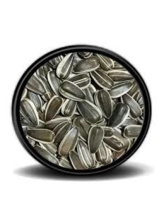 Vivid Bird Dakota Çekirdek 500 Gr (Bölünmüş)