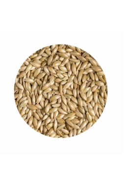 Hobby Sade Kanarya Yemi Aspur 500 GR (Bölünmüş)