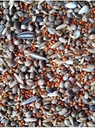 Mamaist Forpus Papağanı Özel Karışım Yemi 500 GR (Bölünmüş)