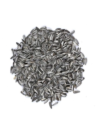 Vivid Bird Alacalı Küçük Çekirdek 500 GR (Bölünmüş)