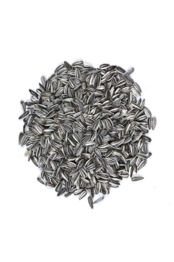 Vivid Bird Alacalı Küçük Çekirdek 250 GR (Bölünmüş)