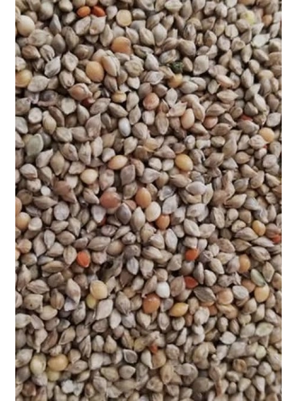 Mamaist Japon Darısı 250 Gr (Bölünmüş)