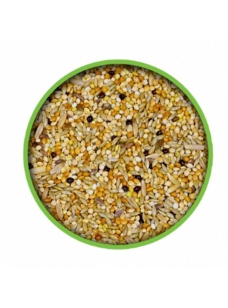 Mamaist Muhabbet Kuşları İçin Özel Karışım 1 KG