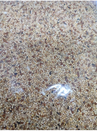 Mamaist Kızıl Daldarılı Muhabbet Kuşu Yemi 1 KG