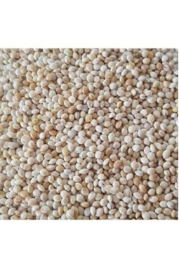 Vivid Ak Darı 500 GR (Bölünmüş)