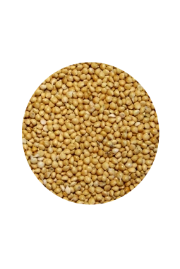 Vivid Sarı Darı 1 KG (Bölünmüş)