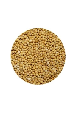 Vivid Sarı Darı 1 KG (Bölünmüş)