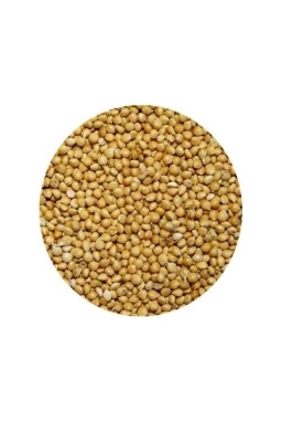 Vivid Sarı Darı 500 GR (Bölünmüş)