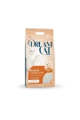 Dream Cat Vanilyalı Bentonit Kedi Kumu 10 Lt