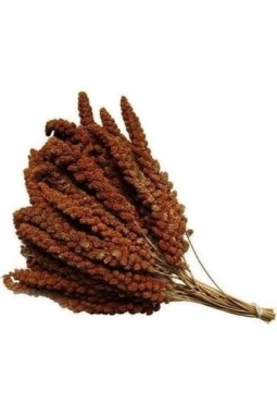 Mamaist Kızıl Daldarı Birinci Sınıf 250 Gr (Bölünmüş)