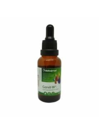 Röhnfried Gervit-W MultiVitamin Takviyesi 10 ML(Bölünmüş)