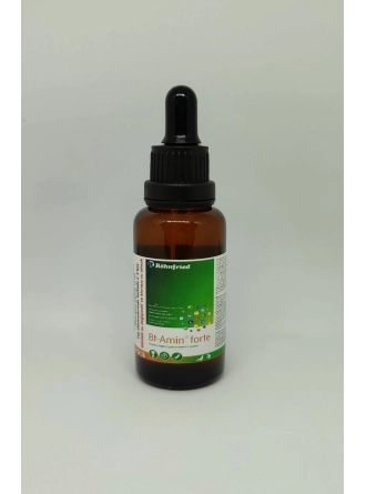 Röhnfried Bt-Amin Forte 10 ML