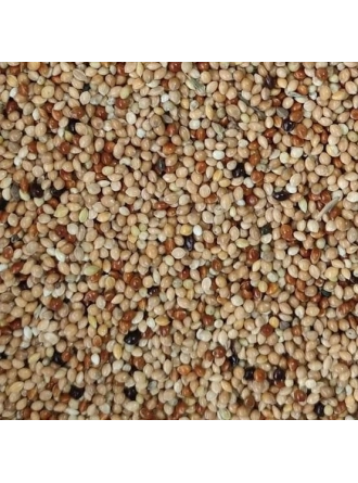 Mamaist Muhabbet Kuşları İçin Diyet Yem 1 KG