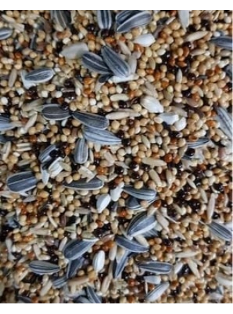 Mamaist Paraket Türleri İçin Diyet Yem 1 KG