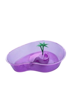 Tisert Küçük Kaplumbağa Bahçesi