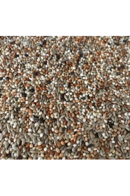 Mamaist Yavru Muhabbet Kuşu Yemi 1 KG