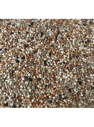 Mamaist Yavru Muhabbet Kuşu Yemi 1 KG