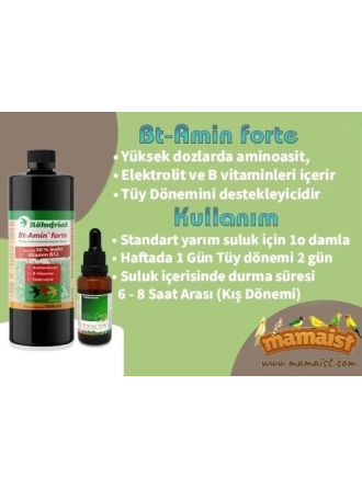 Röhnfried Bt-Amin Forte 100 ML