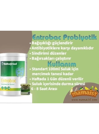 Röhnfried Entrobac Probiyotik Katkısı 100 GR (Bölünmüş)