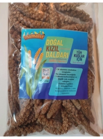 Mamaist Kızıl Daldarı Birinci Sınıf 1 KG