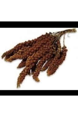 Mamaist Kızıl Daldarı Birinci Sınıf 1 KG