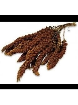 Mamaist Kızıl Daldarı Birinci Sınıf 1 KG