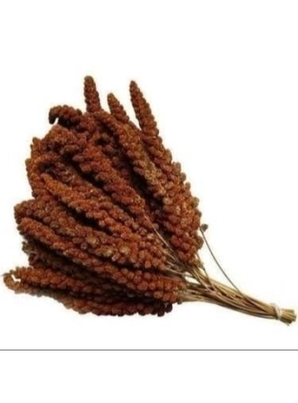 Mamaist Kızıl Daldarı Birinci Sınıf 1 KG