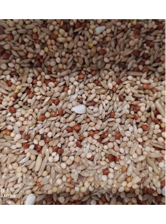 Mamaist Lüks Karışım Muhabbet Kuşu Yemi 500 GR