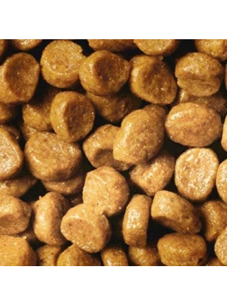 Proplan Kitten Yavru Kedi Maması 500 GR (Bölünmüş)