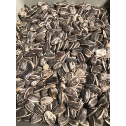 Dakota Çekirdek 5 Kilo