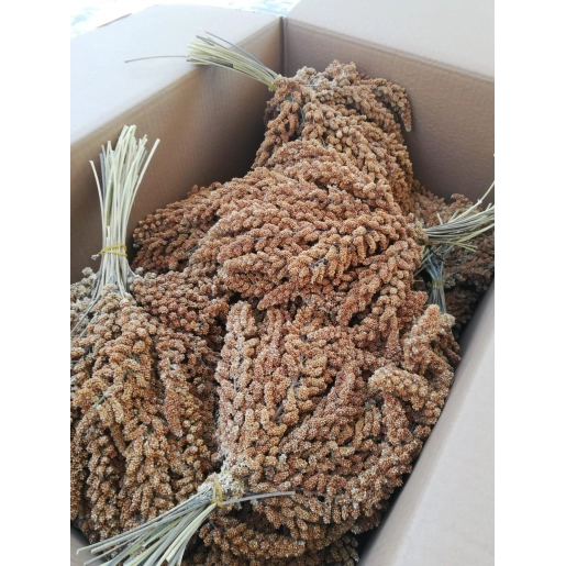 Kızıl Dal Darı 1 Kg Doğal Daldarı