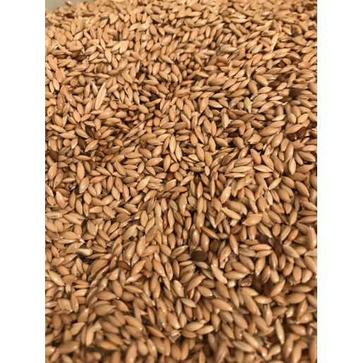 Vivid Aspur Sade Kanarya Yemi 1 KG Çuvaldan Bölme