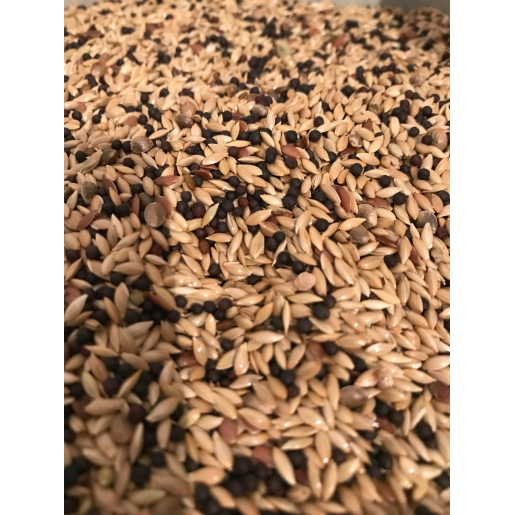 Vivid Standart Karışık Kanarya Yemi 1 KG