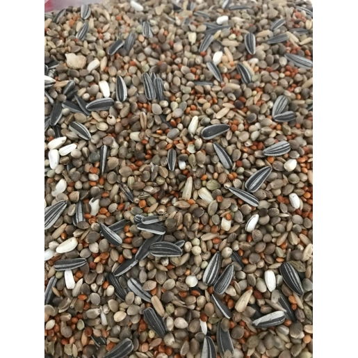 Forpus Papağani Yemi Özel Karişim Zengin İçerik 1 KG