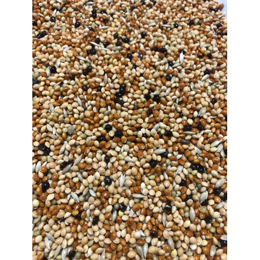 Karışık Muhabbet Kuşu Yemi 5 Kg Mahsul