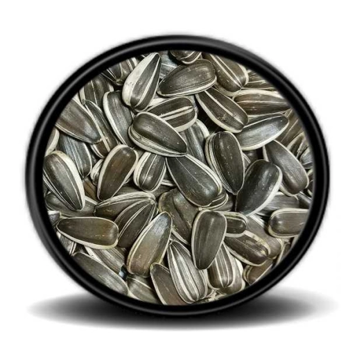 Dakota Çekirdek 1 KG Papağan Yemi