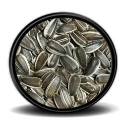 Dakota Çekirdek 500 G Papağan Yemi