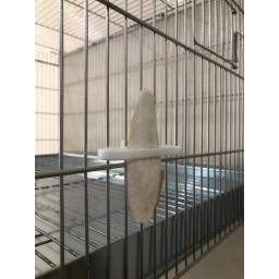 KALAMAR KEMİĞİ TUTUCUSU 1 ADET