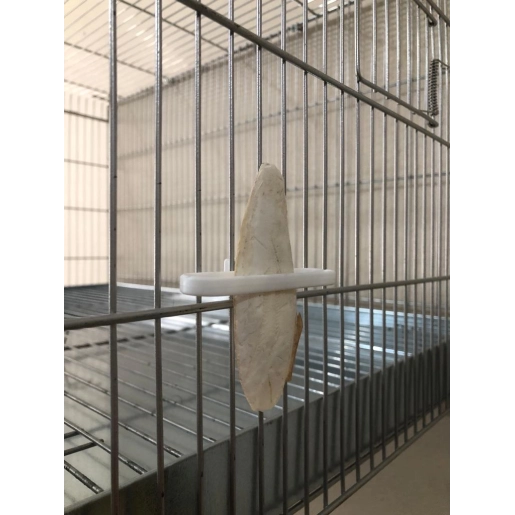 KALAMAR KEMİĞİ TUTUCUSU 1 ADET