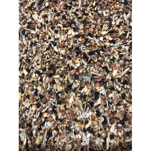 VERSELE LAGA SAĞLIK TOHUMU 500 GRAM